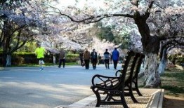 中山公园最新爆料,揭秘公园历史变迁与未来规划