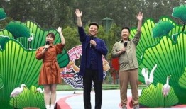 大眼明星爆料视频大全最新,揭秘娱乐圈幕后真相